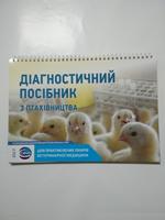 КАТАЛОГИ